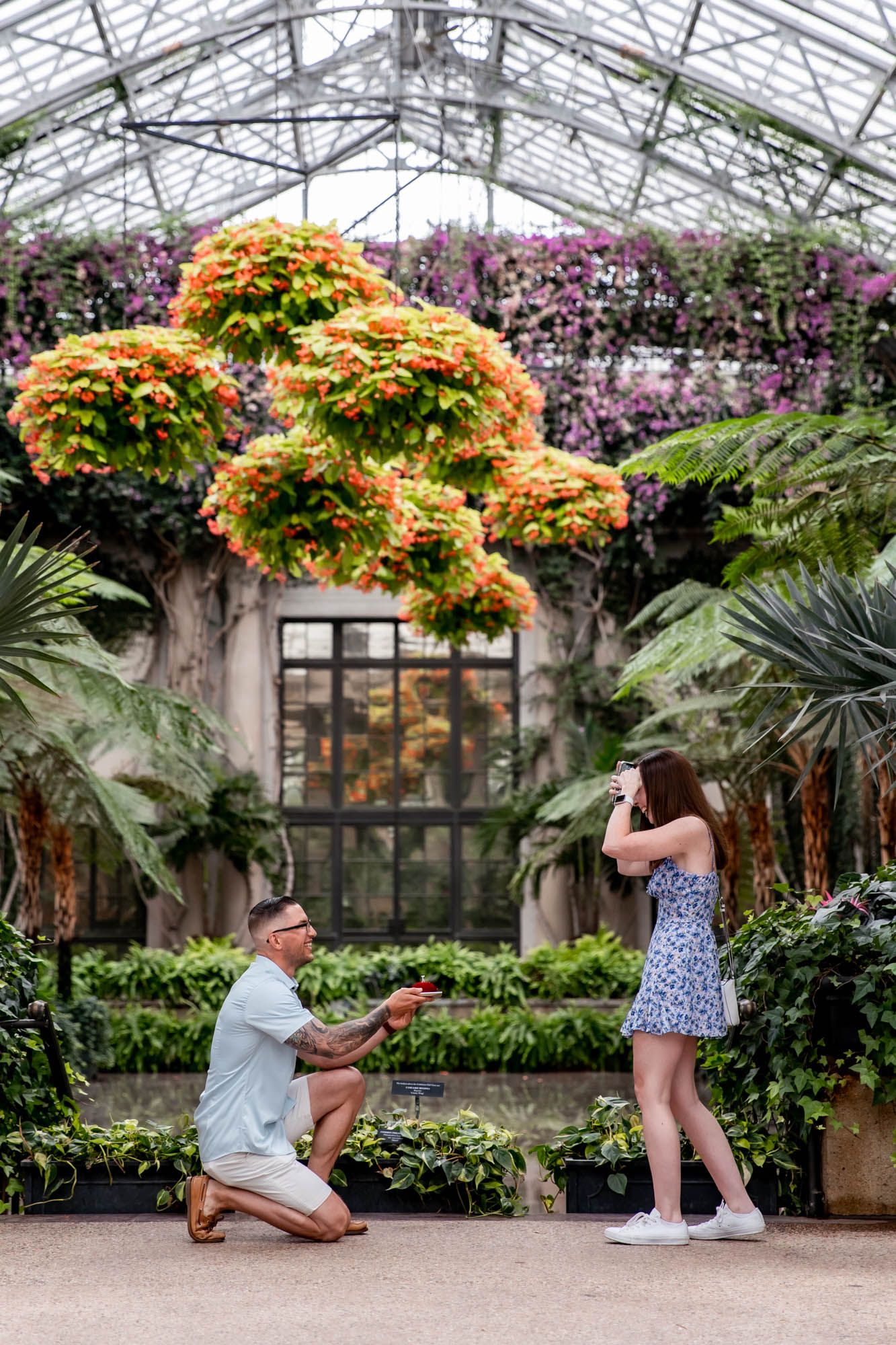 longwood gardens proposal and engagement photos