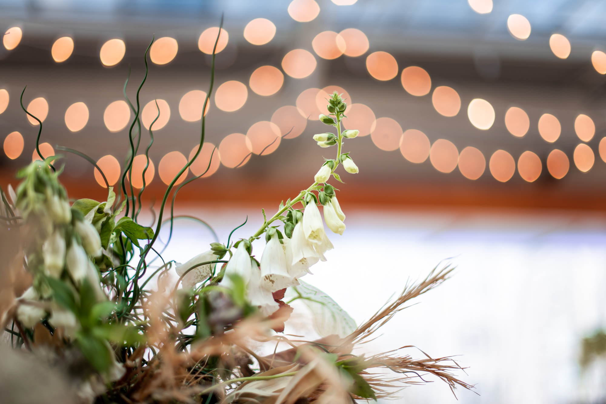 earthy florals for a modern kimmel center wedding