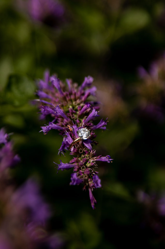 engagement ring in a purple flower